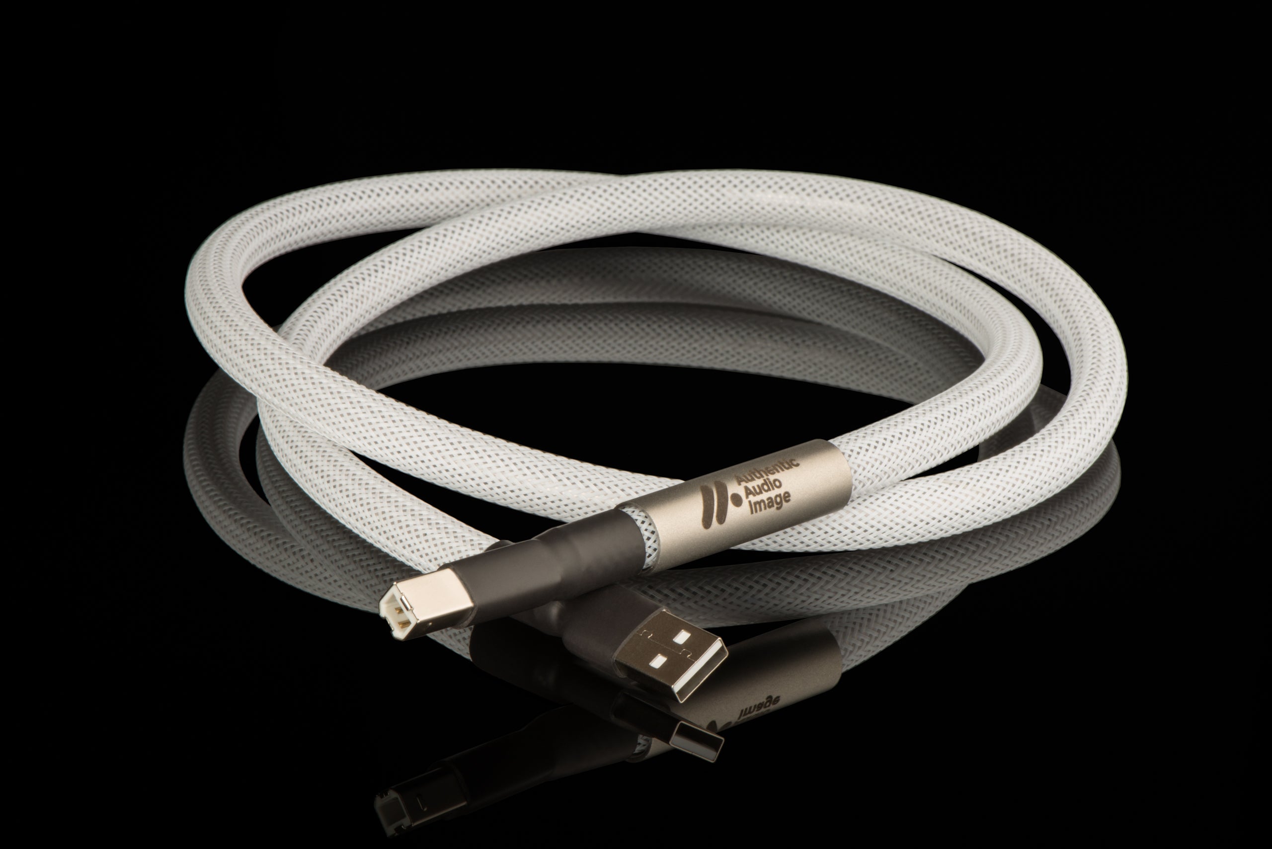 AAI Assoluto+ USB cable