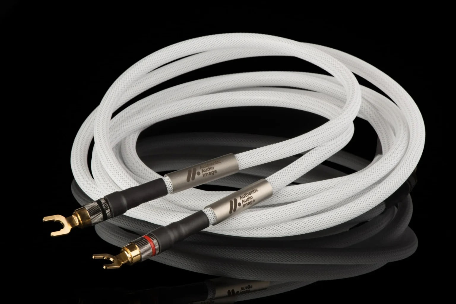 AAI Assoluto+ speaker cables
